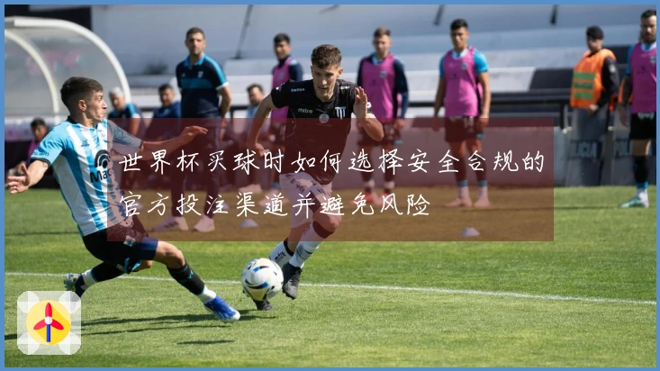 世界杯买球时如何选择安全合规的官方投注渠道并避免风险