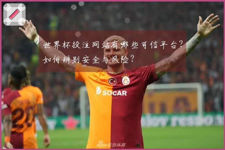 世界杯投注网站有哪些可信平台？如何辨别安全与风险？