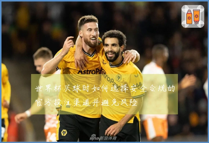 世界杯买球时如何选择安全合规的官方投注渠道并避免风险