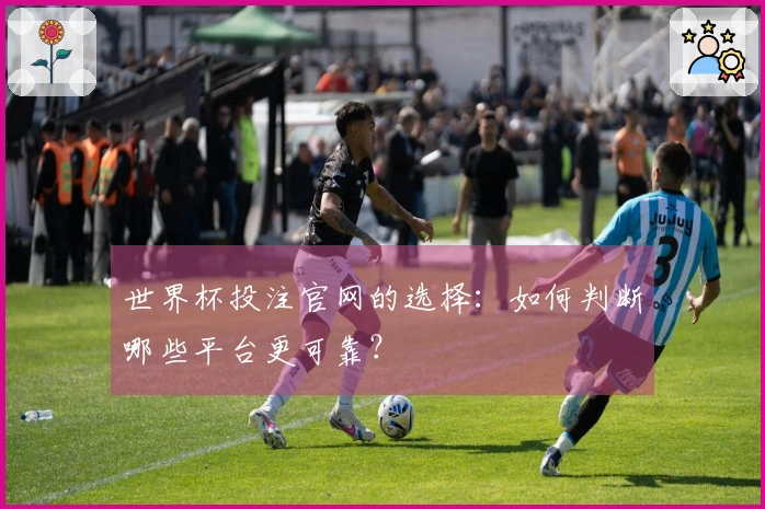 世界杯投注官网的选择：如何判断哪些平台更可靠？