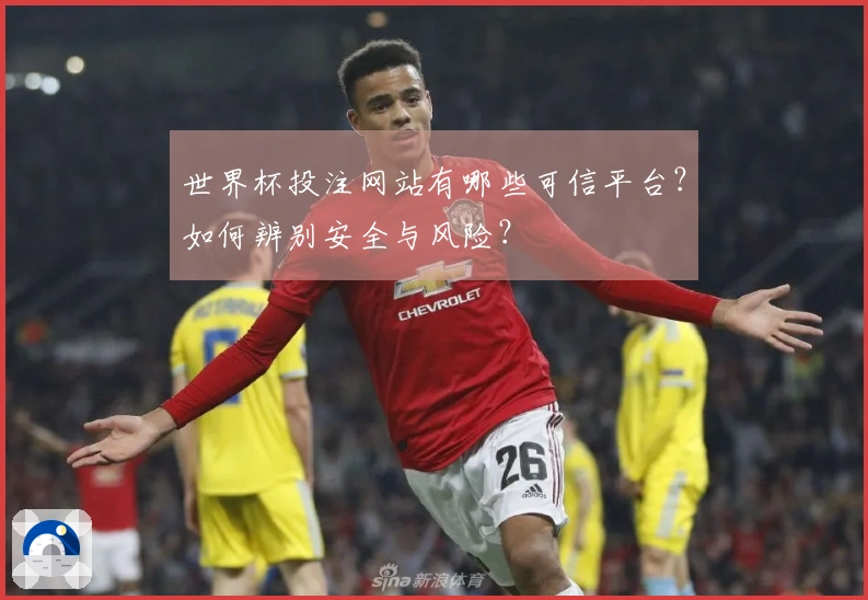 世界杯投注网站有哪些可信平台？如何辨别安全与风险？