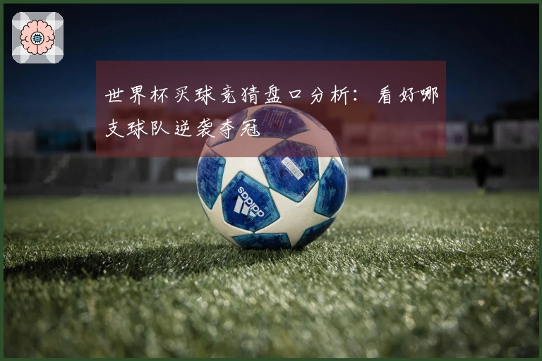 世界杯买球竞猜盘口分析：看好哪支球队逆袭夺冠