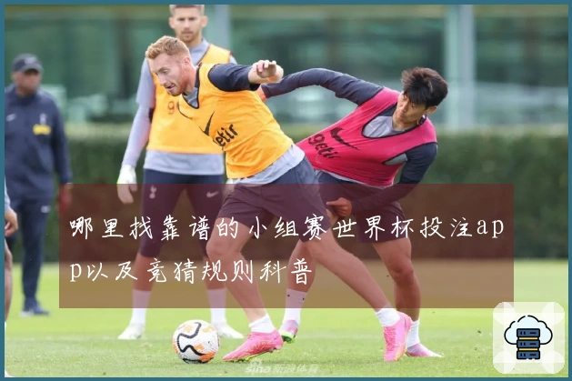哪里找靠谱的小组赛世界杯投注app以及竞猜规则科普